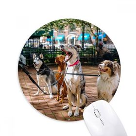 Dıythinker Yuvarlak Yakışıklı Köpekler Evcil Hayvan Resmi Kaymaz Kauçuk Fare Altlığı