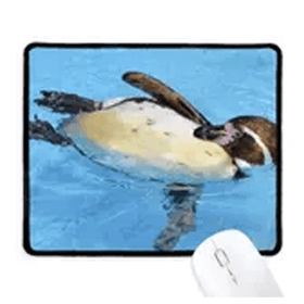 Dıythinker Yüzme Antarktik Penguen Bilim Doğa Resmi Kaymaz Mouse Pad