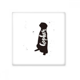 Dıythinker Zürafa Siyah Beyaz Hayvan 20x20 cm Seramik Karo