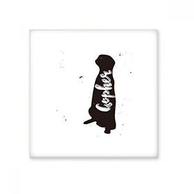 Dıythinker Zürafa Siyah Beyaz Hayvan 20x20 cm Seramik Karo