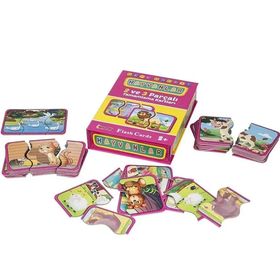 Diytoy 1185 Flash Cards Hayvanlar