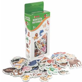 Diytoy MYH0219 Manyetik Hayvanlar