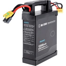 DJI DZ-12000 Agras ve Wind Serileri Batarya Paketi