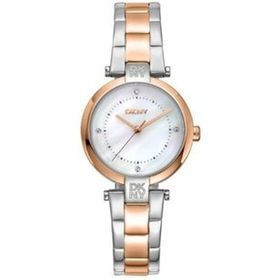 DKNY DK1L043M0095 Kadın Kol Saati
