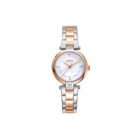 DKNY DK1L043M0095 Kadın Kol Saati