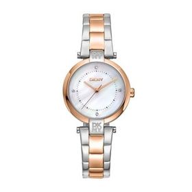 DKNY DK1L043M0095 Kadın Kol Saati