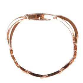 DKNY NY8595 Bayan Kol Saati
