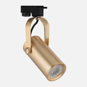 Dlc NR329 Eskitme Altın Tekli Sıva Üstü Ray Spot