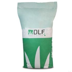 Dlf Süs Yoncası Ak Üçgül Tohumu