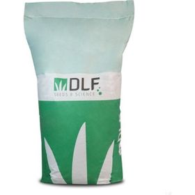 Dlf Süs Yoncası Ak Üçgül Tohumu
