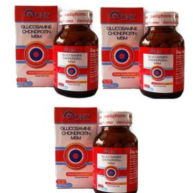 DNZ Glucosamine Chondroitin MSM 90 Tablet