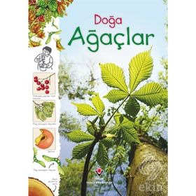 DOĞA: AĞAÇLAR (CILTLI) - LAURA HOWELL