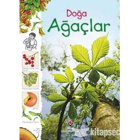 Doğa - Ağaçlar - Kolektif