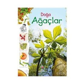 Doğa - Ağaçlar - Kolektif