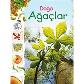 Doğa - Ağaçlar - Kolektif