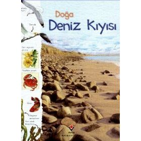 DOĞA: DENIZ KIYISI - KOLEKTIF