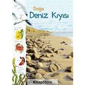 DOĞA: DENIZ KIYISI - KOLEKTIF
