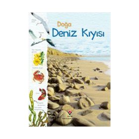 DOĞA: DENIZ KIYISI - KOLEKTIF