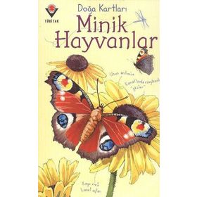 Doğa Kartları - Minik Hayvanlar - Emily Bone