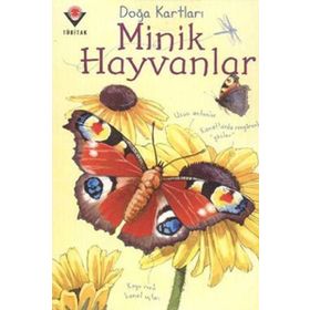 Doğa Kartları - Minik Hayvanlar - Emily Bone
