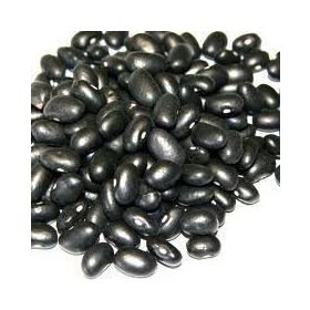 Doğal 10 Tohum Black Turtle Siyah Fasulye Tohumu