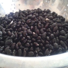 Doğal 10 Tohum Black Turtle Siyah Fasulye Tohumu