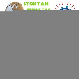 Doğal 20 Adet 2274 Domates Tohumu