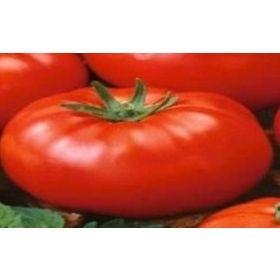 Doğal 20 Adet Beefsteak Domates Tohumu