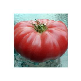 Doğal 20 Adet Beefsteak Domates Tohumu