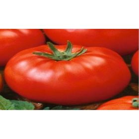 Doğal 20 Adet Beefsteak Domates Tohumu