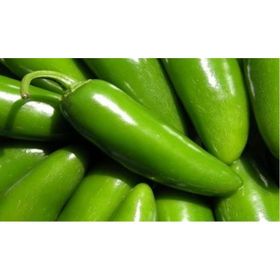 Doğal 20 Adet Early Jalapeno Erkenci Biber Tohumu