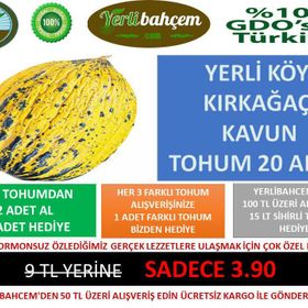 Doğal 20 Adet Kırkağaç Kavun tohumu