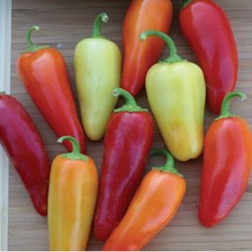 Doğal 20 Adet Santa Fe Grande Acı Biber Tohumu