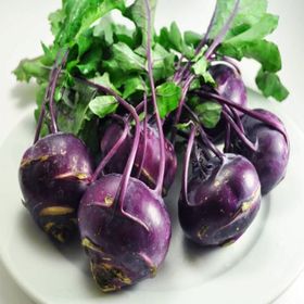 Doğal 20 Tohum Mor Kohlrabi(Alabaş) Tohumu