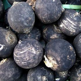 Doğal 30 Tohum Black Prince Turp Tohumu