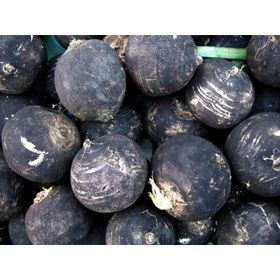 Doğal 30 Tohum Black Prince Turp Tohumu