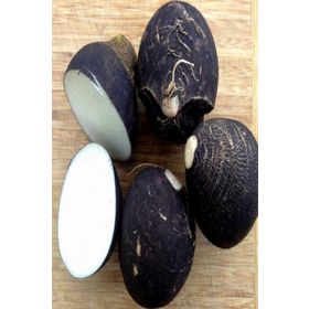 Doğal 30 Tohum Black Prince Turp Tohumu