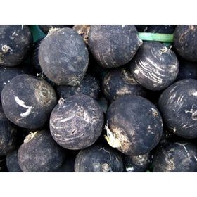 Doğal 30 Tohum Black Prince Turp Tohumu