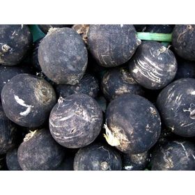 Doğal 30 Tohum Black Prince Turp Tohumu
