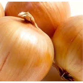 Doğal 50 Tohum Erkenci Teksas Grano Soğan Tohumu