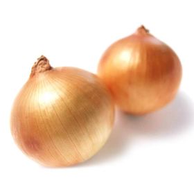 Doğal 50 Tohum Erkenci Teksas Grano Soğan Tohumu