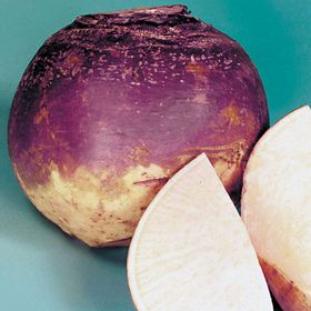 Doğal 50 Tohum Purple Top Amrikano Şalgam Tohumu