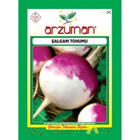 Doğal 50 Tohum Purple Top Amrikano Şalgam Tohumu