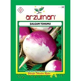 Doğal 50 Tohum Purple Top Amrikano Şalgam Tohumu