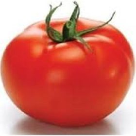 Doğal SC2121 Domates Tohumu