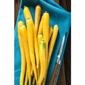 Doğal Solar Yellow Havuç Tohumu