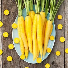 Doğal Solar Yellow Havuç Tohumu