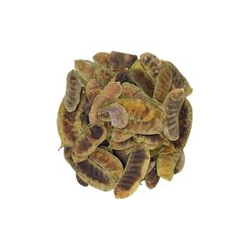 Doğan 1 kg Erkek Sinameki Açlık Otu