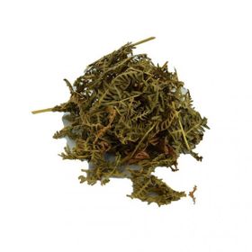 Doğan Baharatçılık 1 kg Doğal Eğrelti Otu