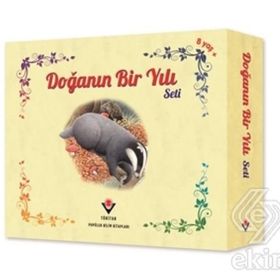 Doğanın Bir Yılı Seti - Ruth Symons